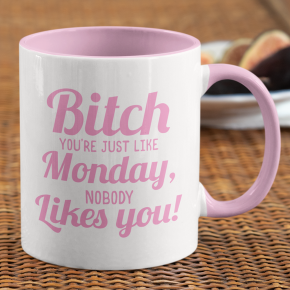 Bitch Nobody Likes You Coffee Mug