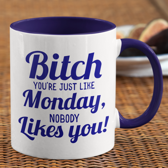 Bitch Nobody Likes You Coffee Mug