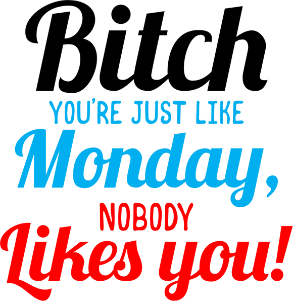 Bitch Nobody Likes You Coffee Mug