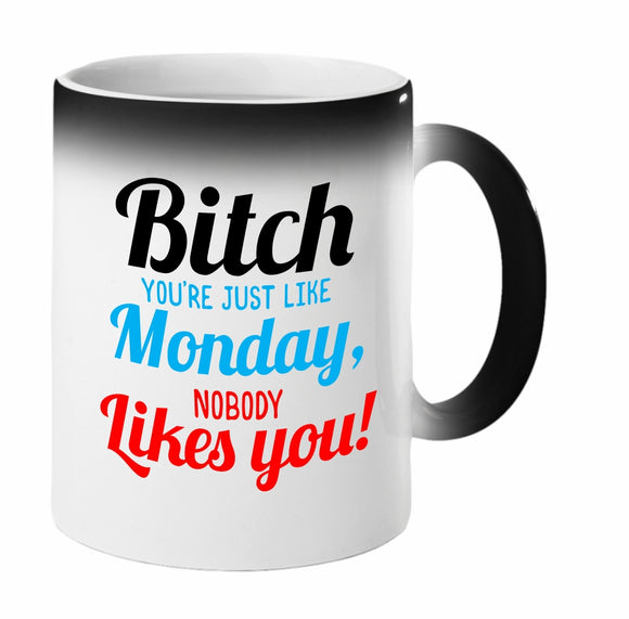 Bitch Nobody Likes You Coffee Mug